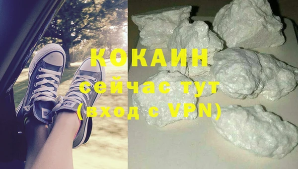 apvp Алексин