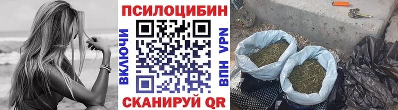 Галлюциногенные грибы ЛСД  цена наркотик  Порхов 